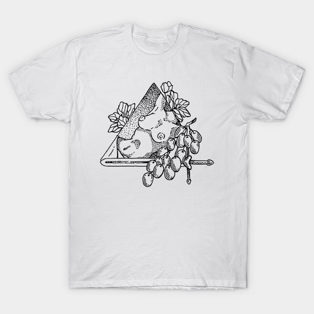 this fruit aint for you T-Shirt by Ooze Blues